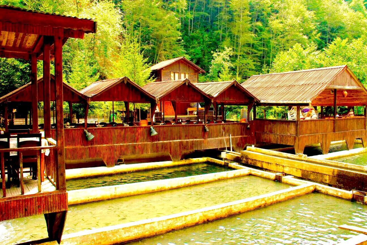Isikli Kale Hotel Caykara Extérieur photo