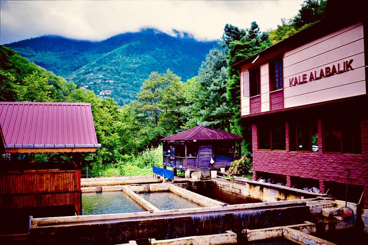 Isikli Kale Hotel Caykara Extérieur photo